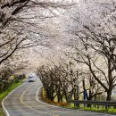 강변2리마을회관 이미지