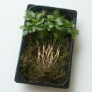 원당농장 이미지