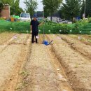 으니농장 이미지