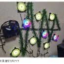 트리컴
