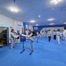 그린나래 태권도 시범단 | 태권도 발차기 종류, 초보 성인도 단계별로 배우는 방법