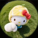 청림 | 포항 청림 고기맛집 ｜가성비 회식장소 추천, 청림육향 솔직후기