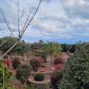 정원맛집 이미지