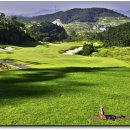 해피니스CC 이미지