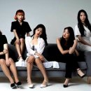 홀릭스 메디팜스투데이
