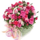 대전광역시청 이미지