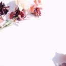 엘루체, 엘루체컨벤션 이미지