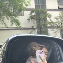 올데이 그루밍 | 운정 애견 미용 '올데이그루밍'위생미용 후기