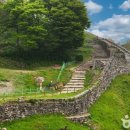 대지에서 이미지