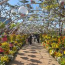 나비정보시스템 | 축제 추천] 15개월 아기랑 다녀온 '함평나비축제' 찐 후기! 볼거리 먹거리 가득한 광주 근교 나들이 🦋✨