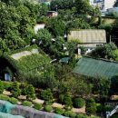 대고사옥 이미지