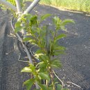 효재농장 이미지