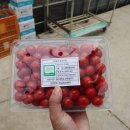 매향농촌체험휴양마을 이미지