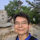 개미행정사 이미지