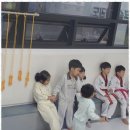 큰솔 태권도 이미지