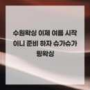 수원-2047 | 수원왁싱 이제 여름 시작이니 준비 하자 슈가슈가링왁싱