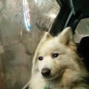 드림1농장 이미지