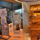 파리바게뜨공항
