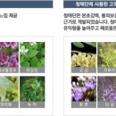 아톰미 이미지