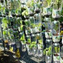 그린헬스케어 이미지