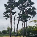 동준산업관리 이미지