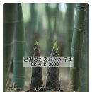 큰길공인중개사사무소 이미지