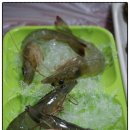 부산/자갈치 맛집 - 랍스타회를 맛보다 일성상회