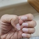 갈매동네일 &#39;표블리네일&#39; 귀여운 네일스티커 곰돌이 네일 후기