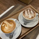 비바라떼 이미지