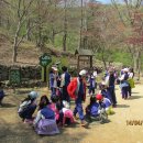 조암초등학교 이미지