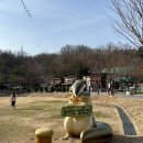 광명도덕산캠핑장 | 서울근교 당일치기 캠핑장 추천 : 광명도덕산캠핑장
