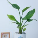 튼튼업한의원 이미지