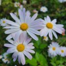 연한농장 이미지