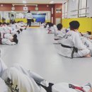 영풍태권도 체육관 이미지