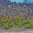 소박한 민박 이미지