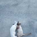 예농농장 이미지