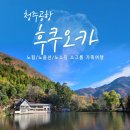 청주출발 후쿠오카 큐슈 3박4일 노팁·노옵션·노쇼핑 4인이면 가능한 단독 소그룹 코스