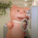 워시벨리 이미지