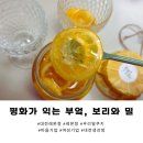 평화가 익는 부엌 보리와 밀, 건강한 재료를 사용한 정성이 담긴 레몬청
