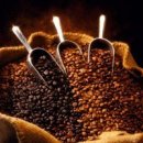 발효커피 노제느와르 를 소개합니다- 커피를 좋아하시는 분들께 이미지