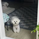 뚜뚜미용실