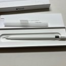 캘리그라피(C) | 애플펜슬 USB-C 타입 구매 및 사용 후기