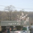 대야미역 이미지