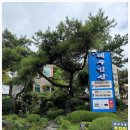 제주밥상 이미지