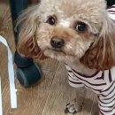 신두만곡로 이미지