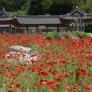 홍성그린 이미지