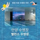 [원정 수영 후기] 안양 밸런스 수영장 레인 대여 및 자유수영