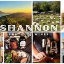 선구목장 이미지