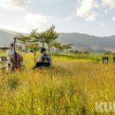 PLZ페스티벌 이미지