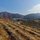 충도리농장 이미지